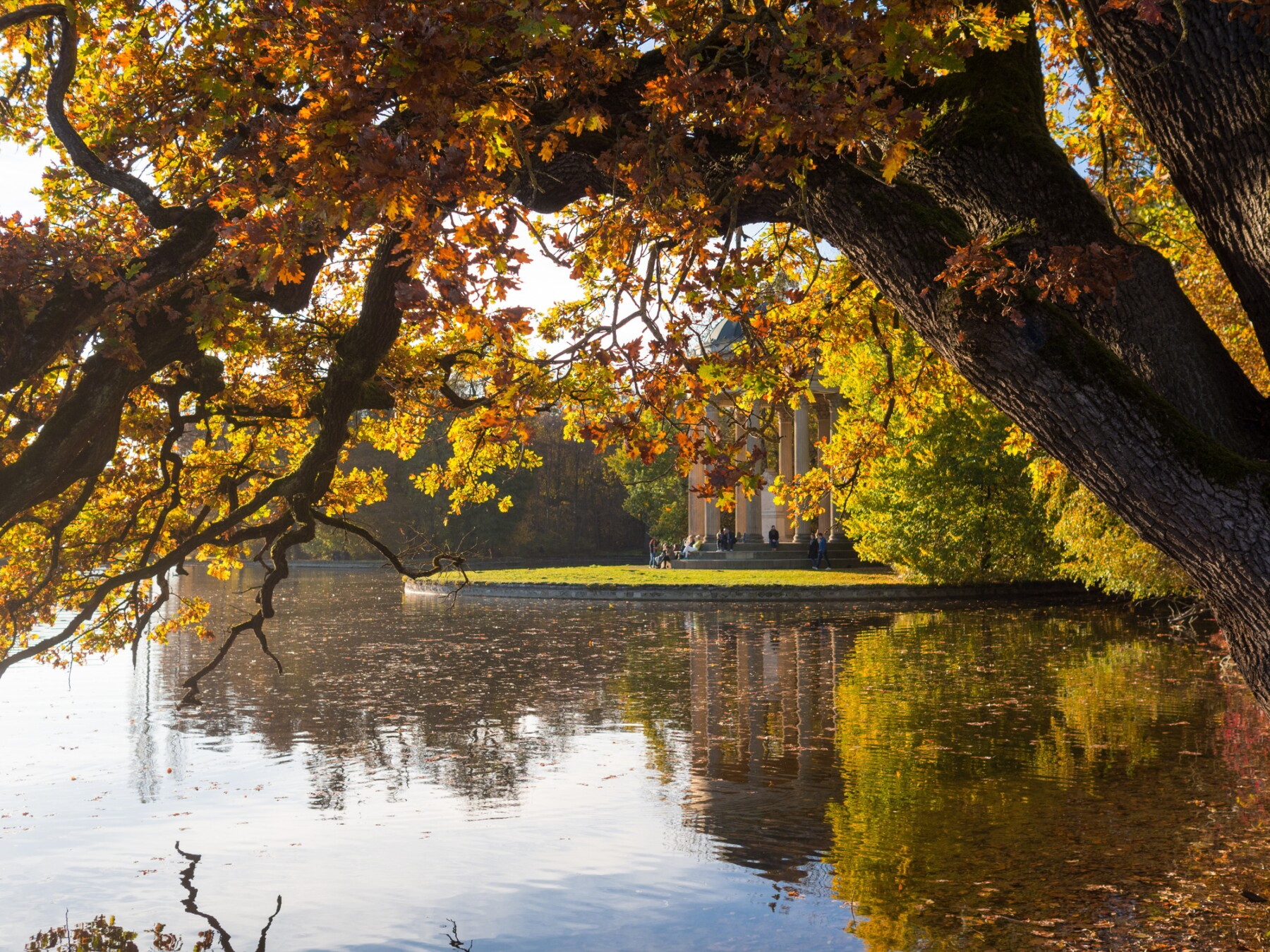 Team building Autumn